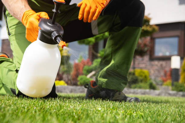 Best Local Pest Control Services  in Daleville, VA